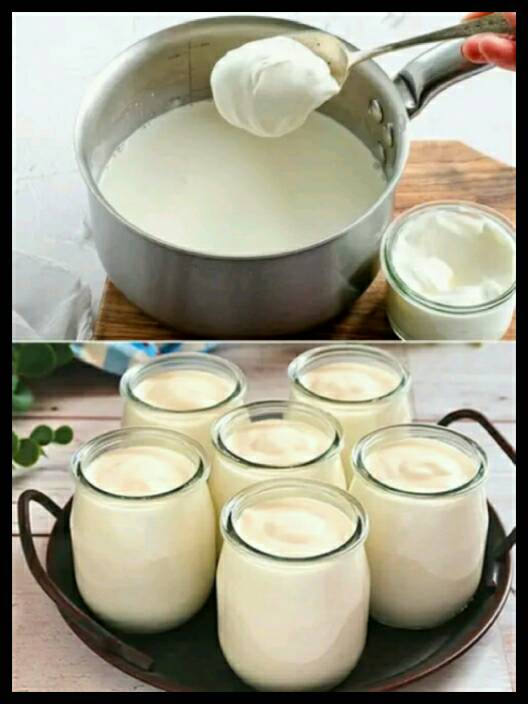 HOMEMADE GREEK YOGURT – Kitchen 🍴👩‍🍳